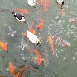 Meet your Posher, Ely